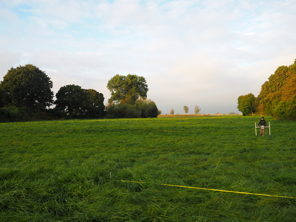 Badania geofizyczne na grodzisku w Dakowach Mokrych, pow. nowotomyski, przeprowadzane przez R. Ryndziewicza (IAE PAN, Warszawa). Październik 2023 r. Fot. J. Mizerka