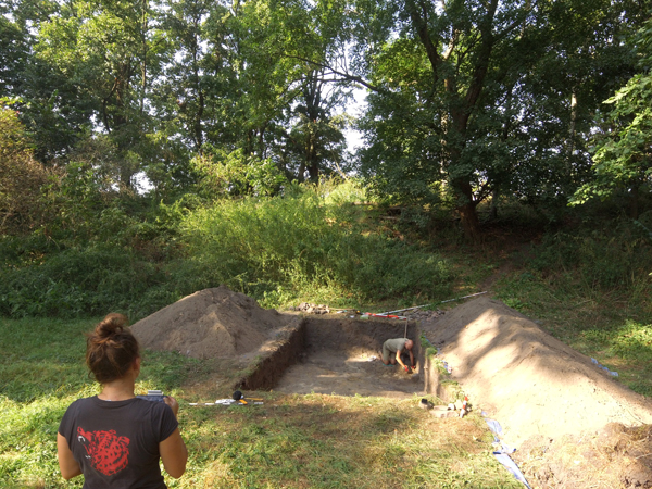 Badania sondażowe na grodzisku w Sędzinku, pow. szamotulski. Widoczny wykop na majdanie, u podnóża wału. Sierpień 2024 r. Fot. J. Mizerka